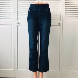 2/$25 JAG JEANS Blue High Rise Straight Leg Jeans Size 8P